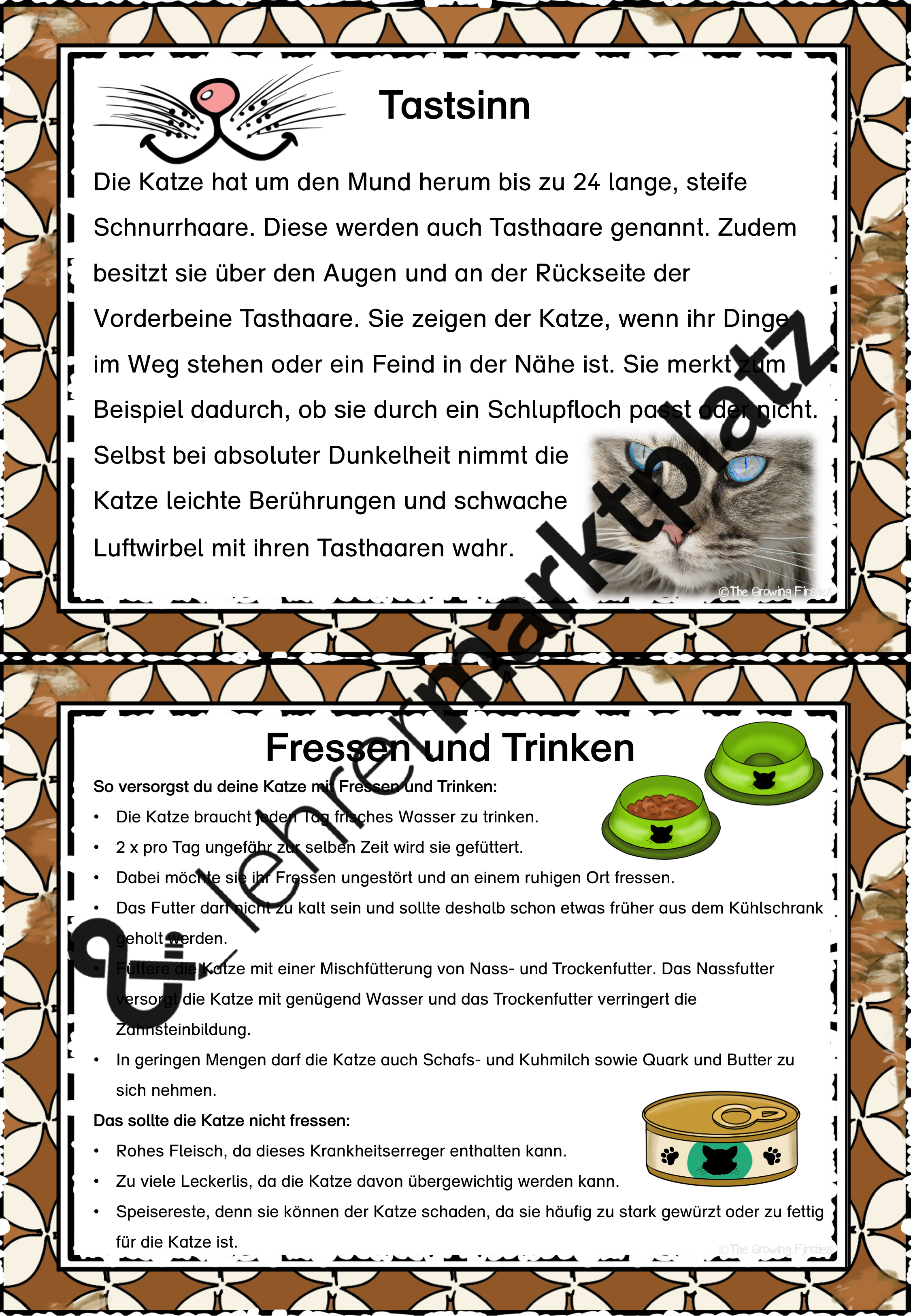 Die Katze - Karteikarten/Infotexte – Unterrichtsmaterial im Fach