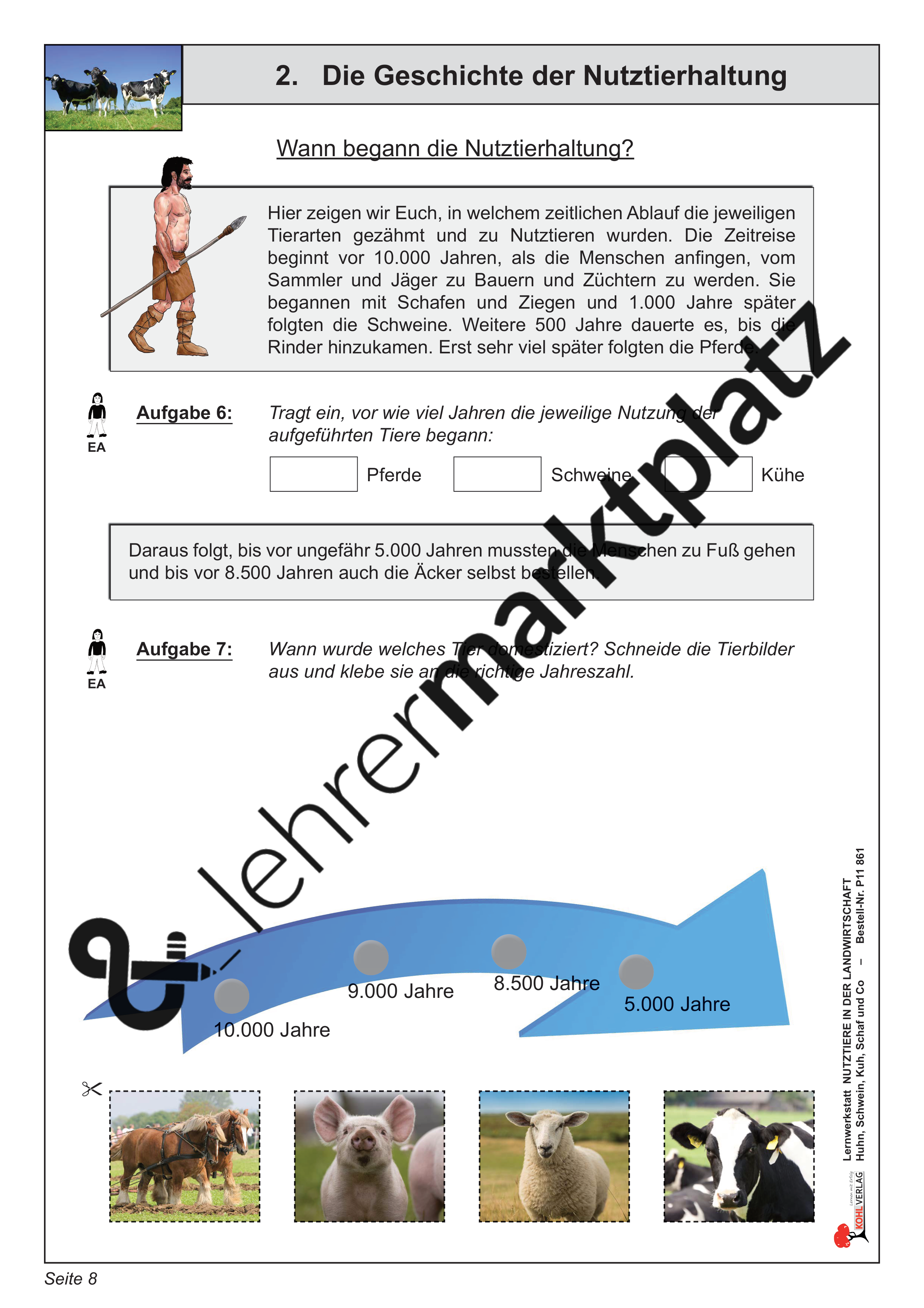 Lernwerkstatt Nutztiere in der Landwirtschaft – Unterrichtsmaterial in
